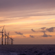 Illustration for article titled Worlds Biggest Wind Farm To Be Built Off the Coast of the UK